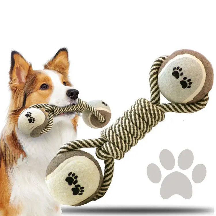Köpek çiğnemeleri köpekler için sağlıklı mı?