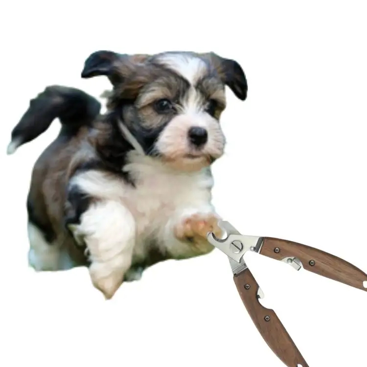 Pet Tırnak Tımarlama Aracı: En İyi Evcil Hayvan Çivi Clipper'ı seçme rehberi
